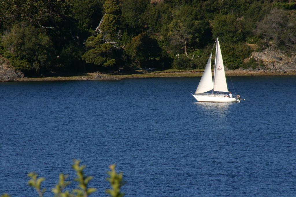 Hosteria Al Paraiso Villa Pehuenia Eksteriør billede